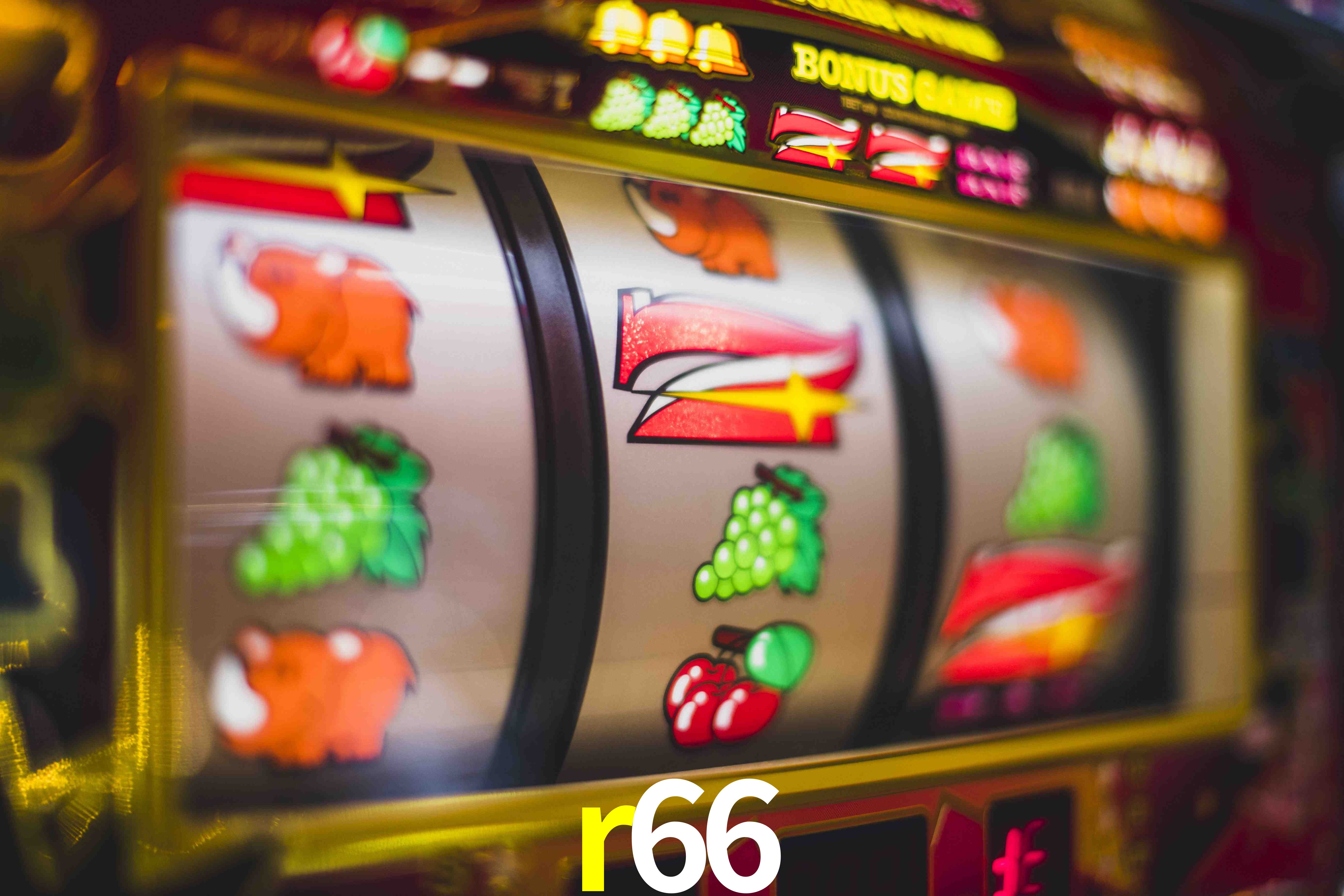 Live Casino r66